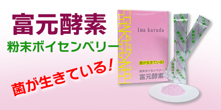 富元酵素「 粉末ボイセンベリー 」（30包）